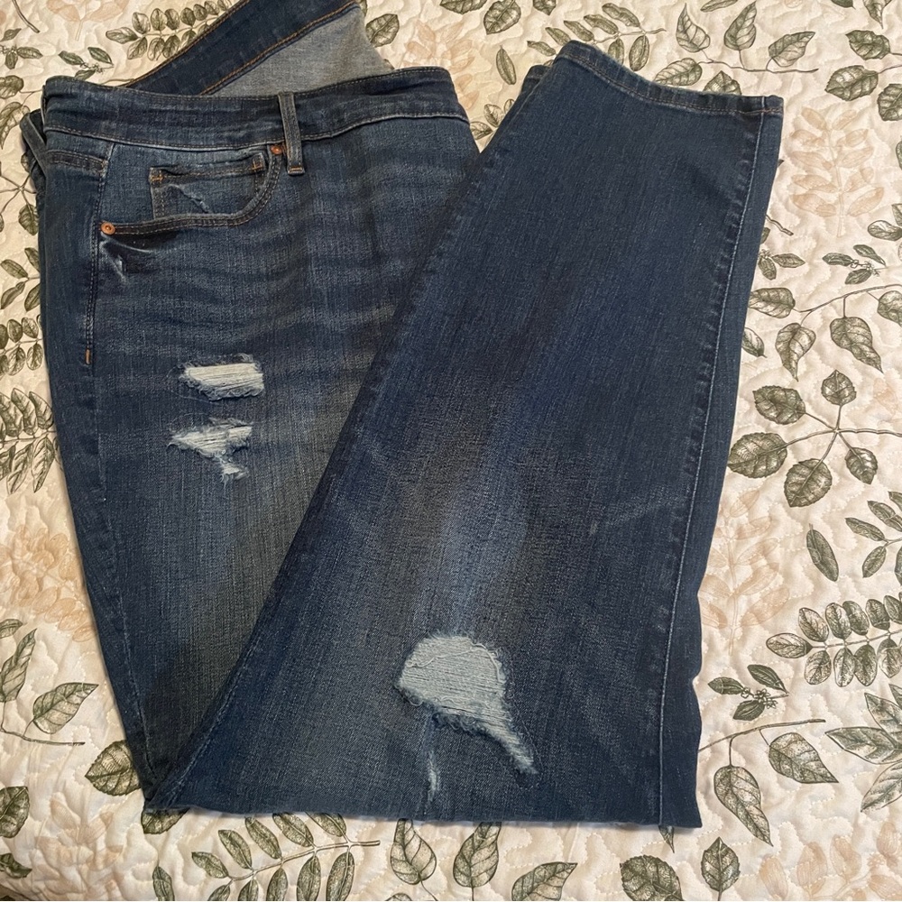 NWT Loft Jeans